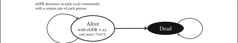 Fig. 2 State transition diagram of kidney function-based microsimulation (MSM-kf). The transition probabilities between states depend on eGFRvalue which constantly decreases at each time cycle with a certain rate
