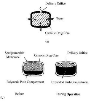 Figure 1: Elementary osmotic as well as push pull osmotic pumps 