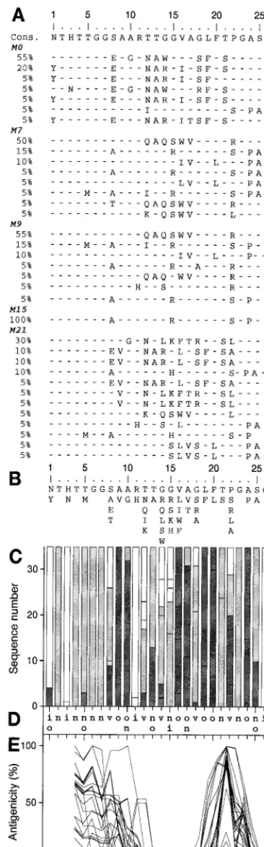 FIG. 1. Analysis of HVR1 quasispecies sequences from patient E(genotype 1b) based on sequences of 20 clones per time point at ﬁve