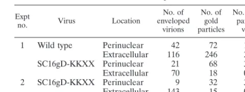 TABLE 1. Frequency of gold labeling in perinuclearand extracellular compartments