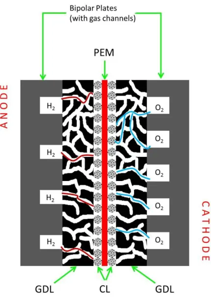 Figure 1: Schematic showing the different parts of a single fuel cell 