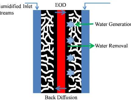 Figure 2: Water management in PEMFC - Different Components 