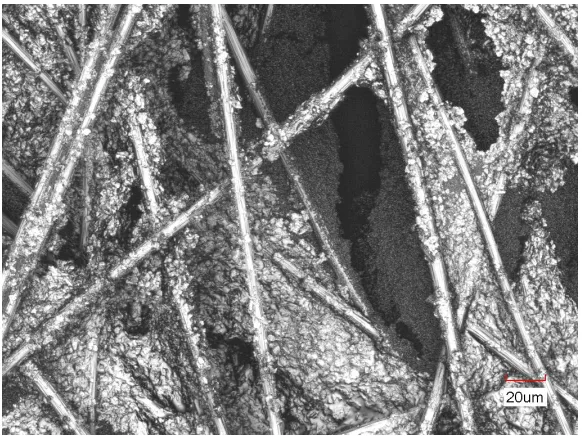Figure 3: GDL sample (SGL 25BC) as seen through Laser Confocal Microscopy  