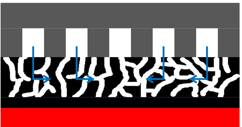 Figure 6: In plane direction of mass transport 