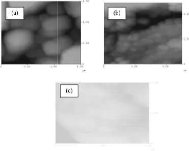 Fig. 4. AFM images of . 4. AFM images of (a) pure PANI, (b) PANI-Q and (c) PANI-R. 