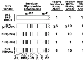 FIG. 1. Structure and biological properties of the HIV-1 envelope glycoproteins used in this study