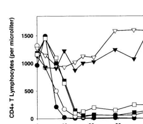 FIG. 2. Syncytium-forming ability of the HIV-1 envelope glycopro-tein variants. COS-1 cells expressing equivalent surface levels of the