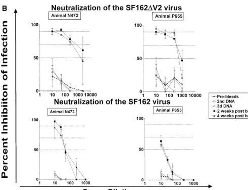 TABLE 2. Neutralization of heterologous primary HIV-1 isolates by macaque sera