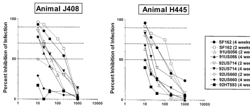 FIG. 5. Neutralization of heterologous clade B primary HIV-1 isolates by macaque sera