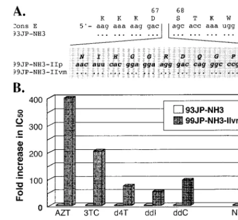 FIG. 1. Isolation of an HIV-1 RT insertion mutant with MNR. (A)A 33-nucleotide insertion sequence