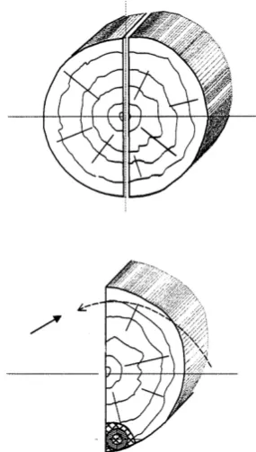 Fig. 3. Stay-log cutting of the whole log