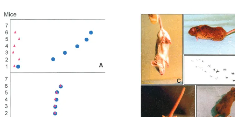 TABLE 1. Susceptibility of Tg(OvPrP4) mice to scrapie isolatesa