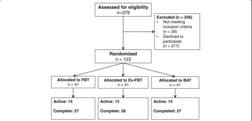 Fig. 1 Overview of participant flow