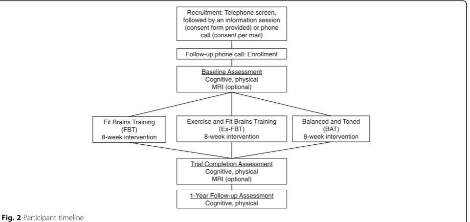 Fig. 2 Participant timeline