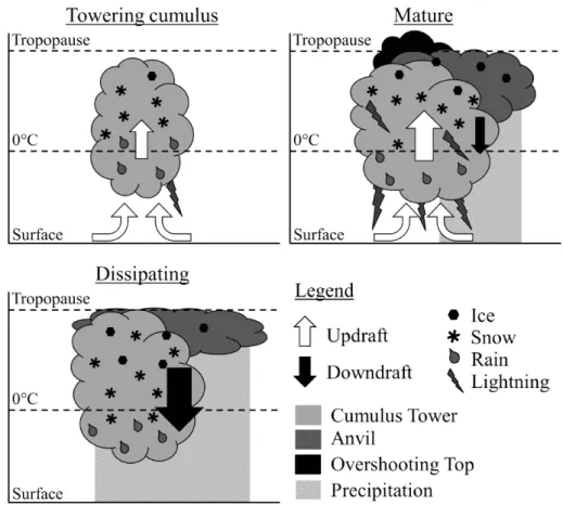 Figure 1.2: Sketch of the three life cycle stages of a single thunderstorm cell after Byers and Braham Jr