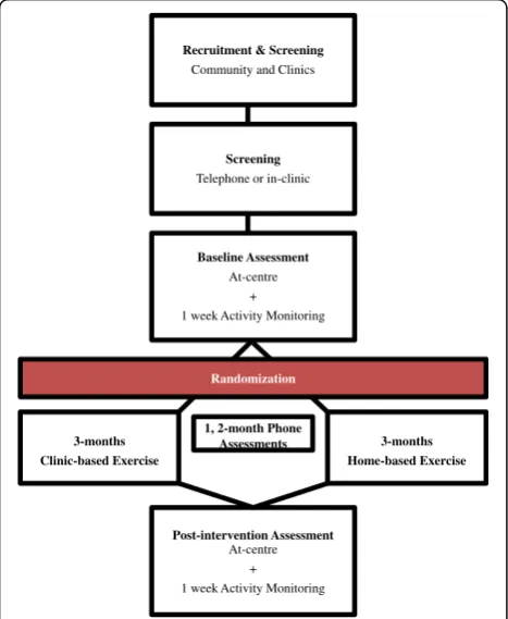 Fig. 1 Flow of study participants