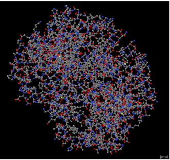 Figure   10:   structure   of   1CMY   (Quarternary   state   of   human   heamoglobin) 