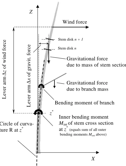 Fig. 2. Stem disk of Douglas fir No. 104 at a height of 0.40 m,considered to be a composite with ring-specific material proper-ties; location of neutral axis and neutral point according to givenbending direction (year rings alternating in light and dark grey)