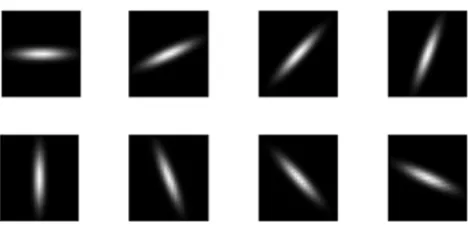 Figure 3Rotationally invariant bar filterRotationally invariant bar filter. Eight bar filters, each successively rotated 2π/8 degrees, are used to detect the cytoplasmic membrane through a convolution with the DAB stained image