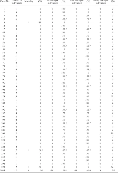 Table 6. Damage by aphids in clone archives of Moravian origin