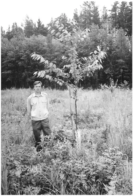 Fig. 3. Clone archives of Moravian origin – School Forest En-terprise Kostelec nad Černými lesy
