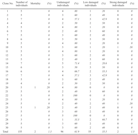 Table 4. Damage by aphids in seed orchard