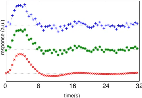 Figure 1HRF extraction schemeduring the inversion step. Subsequent wavelet shrinkage (determined by mined by ForWaRD ForWaRD HRF extraction scheme