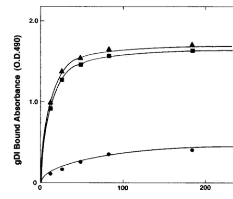 FIG. 2. gD-binding activities of L-cell lines. Conﬂuent cells on 96-well plates were subjected to a gD-binding assay