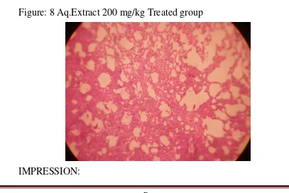 Figure: 7 Aq.Extract 100 mg/kg Treated group