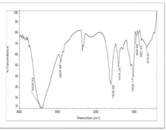 Table No. 9: FTIR Interpretation of Methanolic Extract of Acalypha indica Linn. 