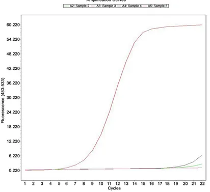 Figure 4. The specificity of digital RT-PCR assay for the detection of H9. 