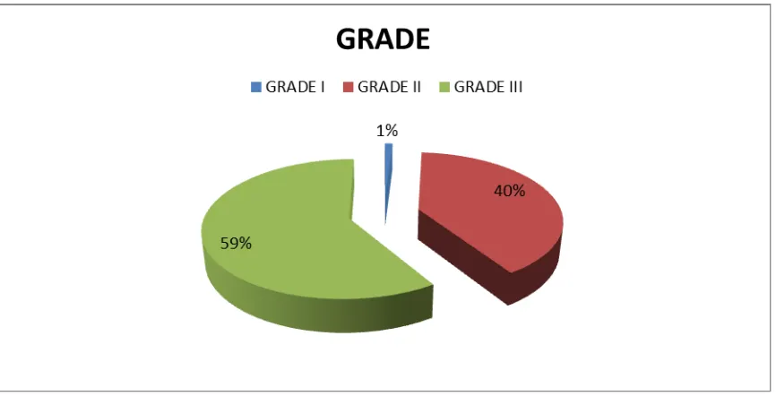 Figure 7. Pie Chart representing the tumor grade distribution. 