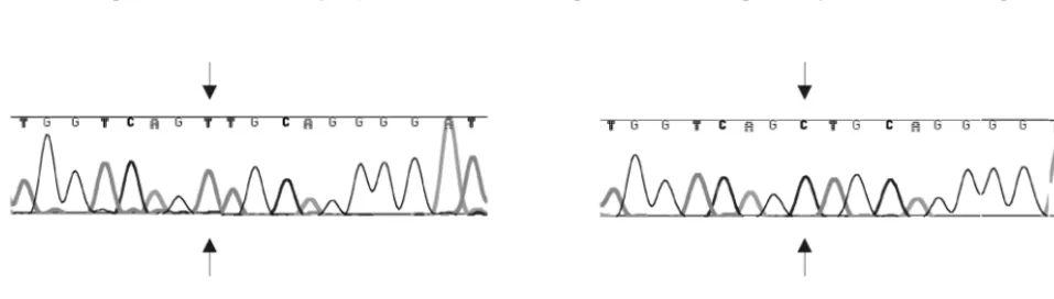 TABLE 2. Vector transduction efﬁciencies
