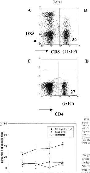 FIG. 6. Adoptive transfer of NK cells selectively enhances CD8T-cell inﬁltration and function in the liver of BALB/c mice