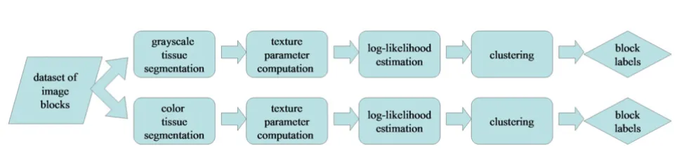 Figure 1clustersFlowchart of the methods used to analyze image blocks and determine the normal-specific, cancer-specific, and non-specific Flowchart of the methods used to analyze image blocks and determine the normal-specific, cancer-specific, and non-specific clusters.