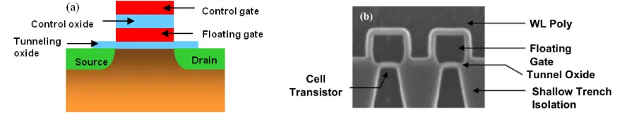 Figure 1.6: Schematic cross-sections and circuit diagrams for NOR and NAND flash memory [5] 