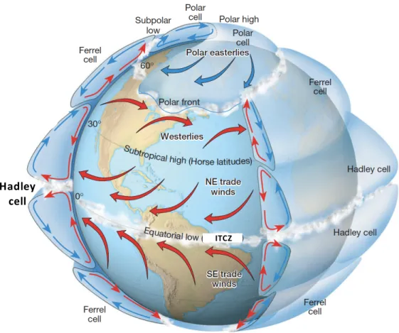 Figure 1.1: Idealized global circulation for the three-cell circulation (including Hadley cell) model on a rotating Earth