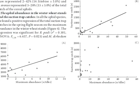 Figure 3. The percentage of the particular aphid species 