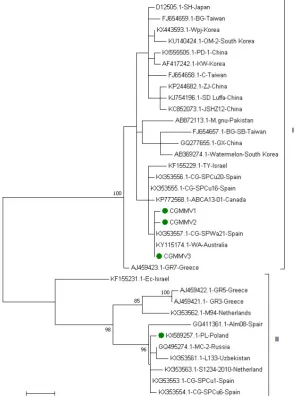 Figure 2. Maximum-likelihood tree con-structed in MEGA6 based on CP gene sequences from the Polish and other CGMMV isolates; the Polish isolates are marked in green; branches with < 85% bootstrap support were collapsed