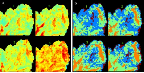 Figure 6 shows a 3D UHCA map performed on the 4 sec-tions simultaneously. The map shows excellent correla-for use with the Kevley slides are less than the thickness ofa single cervical cell consequently multiple sections ena-ble the analysis of whole cells