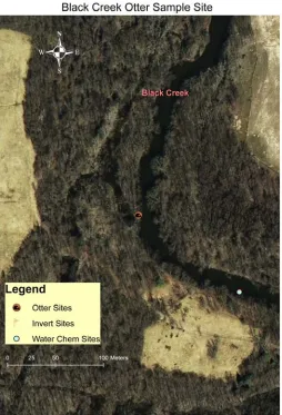 Table 1:  The number of surveys completed on the three creeks and the total number of confirmed otter spraint recovered from those creeks