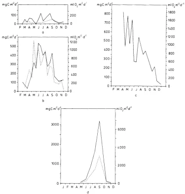 Fig. 6. Gross primary productivity a: of phytoplankton (Arenicola-flat: straight line, seagrass-bed: dotted line); b: of microphytobenthos (Arenicola-flat: straight line, seagrass-bed: dotted line); c: of microphytobenthos in the Nereis-Corophium-belt; d: gross and net (dotted line) primary productiv- ity of Zostera noltii with epiphytes 