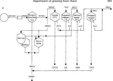 Fig. 8. Simplified models of energy flow of the three communities, a: Arenicola-flat; the arrows above the symbols indicate the energy flow; figures below the symbols in the right side value on the lower left hand side gives the total community respiration