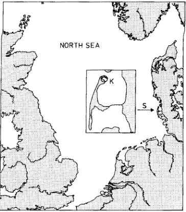 Fig. 1. The "K6nigshafen" area (K) situated at the northern part of the island of Sylt (S) in the northern Wadden Sea (North Sea) 