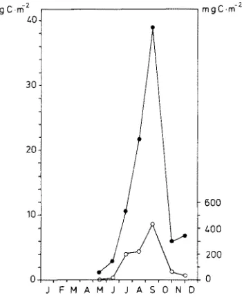 Fig. 5. Biomass of blades of Zostera noltii (o; scale on the left) and epiphytes (©; scale on the right) 