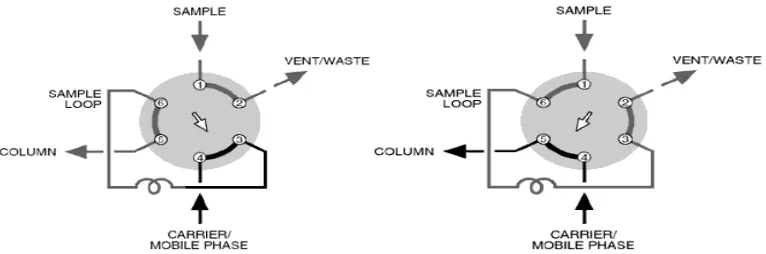 Fig. No.1.2 .Injection system