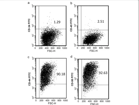 Fig. 1 Identification of BMSCs. Flow cytometric detection data showing little to no expression of the negative cell markers CD34 (as well as the positive expression of the BMSCs markers CD44 (a) and CD45 (bc) and CD90 (d)