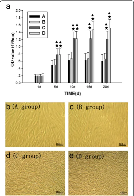 Fig. 2 Proliferation and morphology of cultured BMSCs aftertreatment with QEF-containing serum
