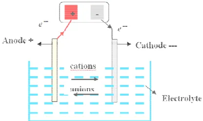 Fig. 1.  Electrochemical cell model for Zinc electrodeposition 