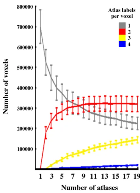 Figure 3 presents an isosurface representation of a singlemanually labeled subject brain